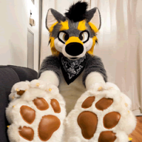 Avatar of Mango
