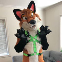 Kyoto Fursuit photo