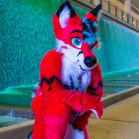 Avatar of Riley Fox 