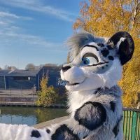 Avatar of Kyyp