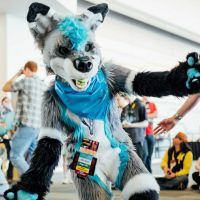 Azimuth Fursuit photo