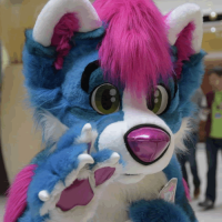 Avatar of AlpineDaHusky