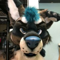 Avatar of PaloWalf