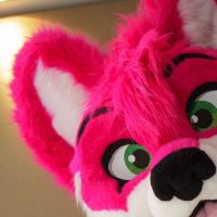 Avatar of Keizey Husky