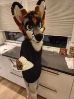 Avatar of ThatGreyFox